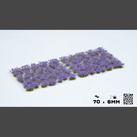 Violet Flowers