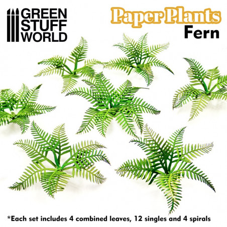 Plantes à Papier - Fougère