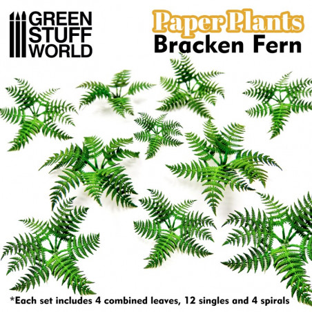 Plantes à Papier - Fougère Pteridium