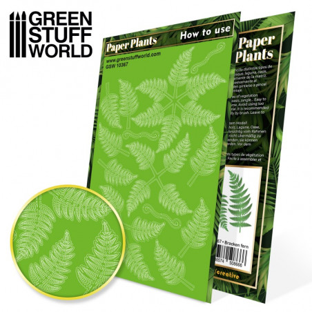 Plantes à Papier - Fougère Pteridium