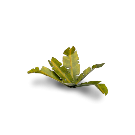 Laser Plants - Banana Tree