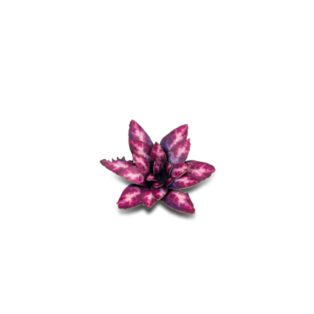 Laser Plants - Alien Rosette