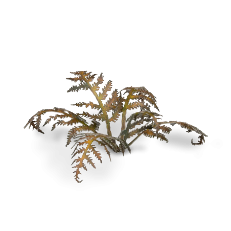 Laser Plants - Dry Bracken