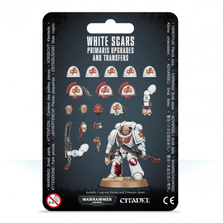 Améliorations et décalcomanies White Scars Primaris