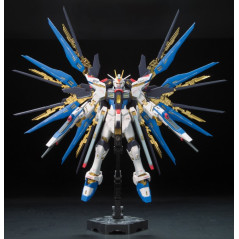 Gundam Gunpla RG 1/144 14 Strike Freedom Gundam