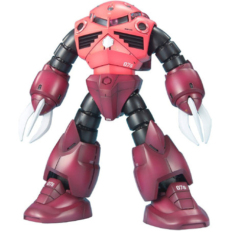 GUNDAM GUNPLA MG 1/100 MSM-07 Z'GOK CHAR'S CUSTOM