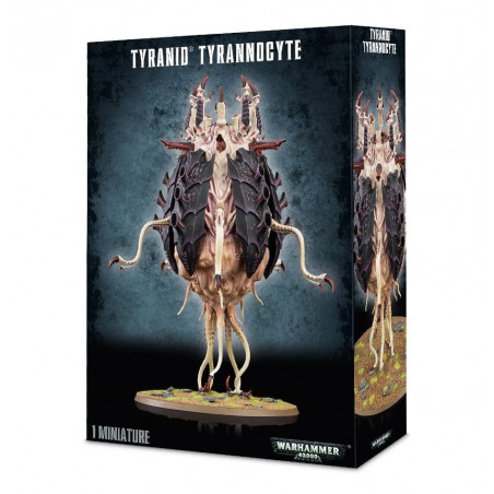 Tyrannocyte /  Sporocyst et Mucolid Spore