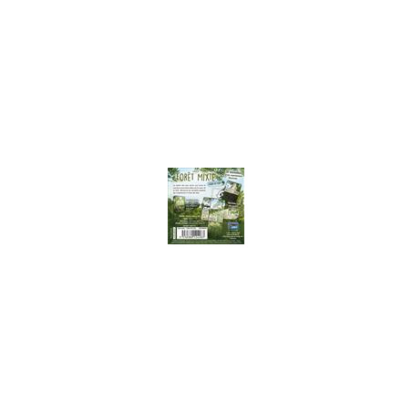 Forêt Mixte : Woodland Edge (Ext)