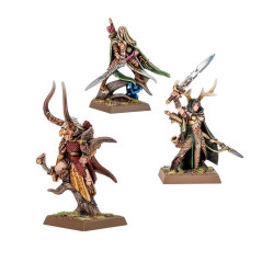 Royaumes Elfes Sylvains - Nobles Elfes Sylvains