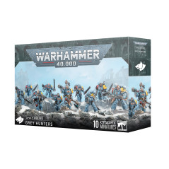Space Wolves - Chasseurs Gris