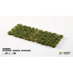 Strong Green Shrubs