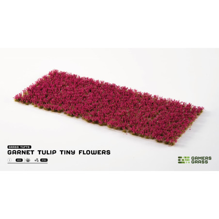 Garnet Tulip Tiny Flowers