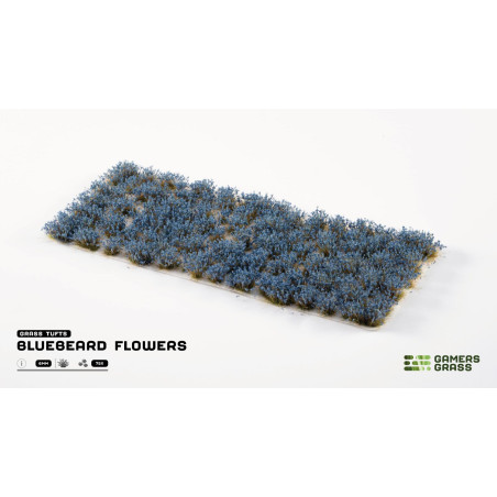 Bluebeard Flowers