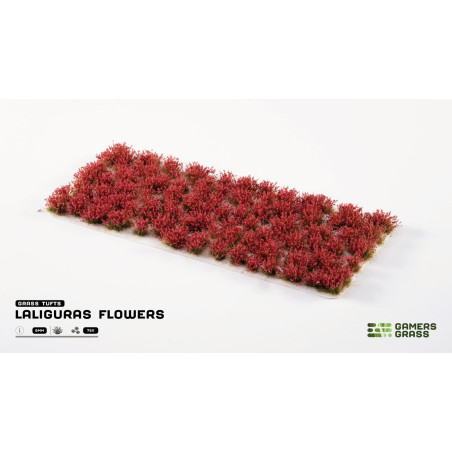Laliguras Flowers