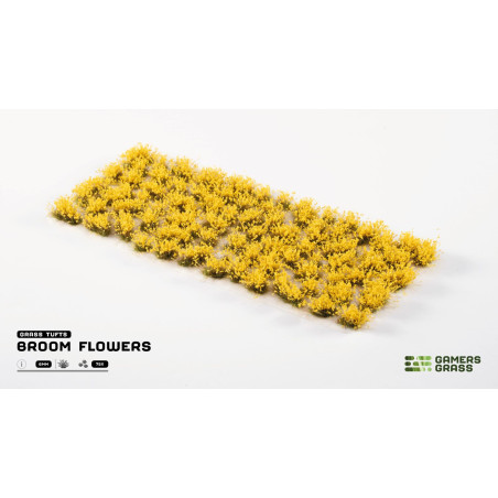 Broom Flowers