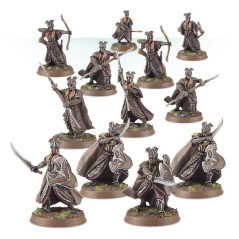 Mirkwood Armoured Elves Warband
