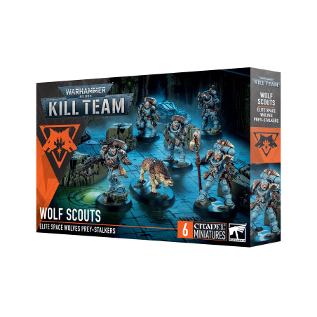Kill Team - Scouts Space Wolves