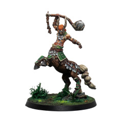 Warcrow - Eachann, the Great Centaurelfe (FR + ENG)