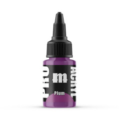 070 - Pro Acryl Plum - MH