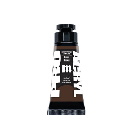 Expert Acrylics 007 - Burnt Umber