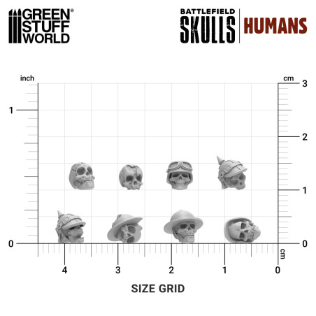 1000x Crânes Humains en résine 1:48-1:35