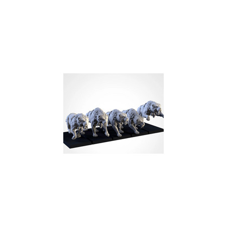 Pack Warhamateur Ogres