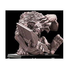 Pack Warhamateur Horde Trolls