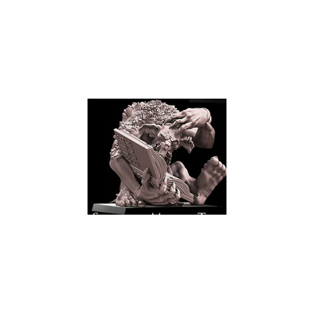 Pack Warhamateur Horde Trolls