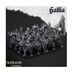 Pack Warhamateur Royaume de Gallia