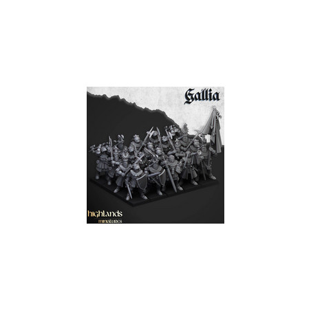 Pack Warhamateur Royaume de Gallia