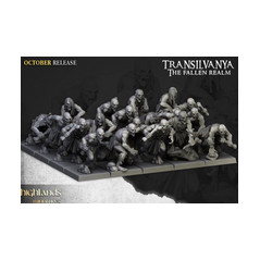 Pack Warhamateur Vampires