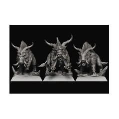 Pack Warhamateur Hommes-Bêtes