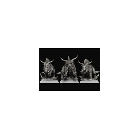 Pack Warhamateur Hommes-Bêtes
