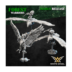 Pack Warhamateur Elfes des Bois
