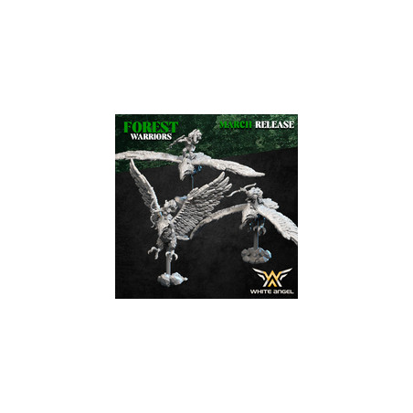 Pack Warhamateur Elfes des Bois