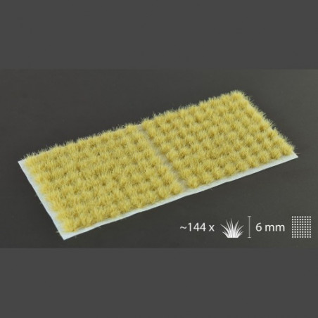 Beige 6mm Small