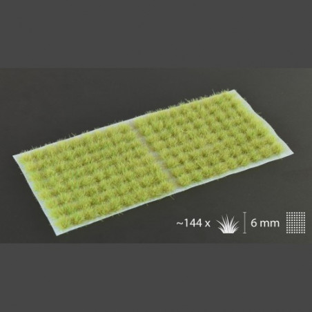 Light Green 6mm Small