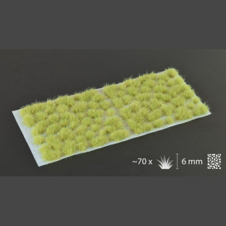 Light Green 6mm Wild