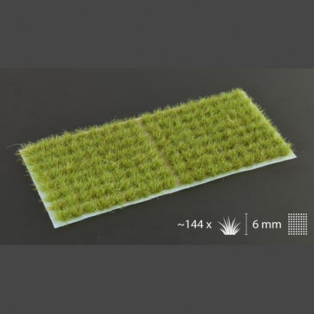 Dry Green 6mm Small
