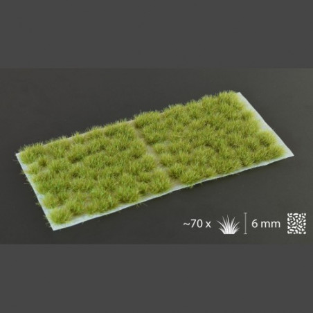 Dry Green 6mm Wild