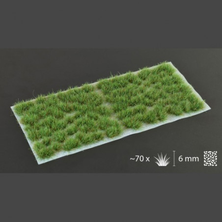 Strong Green 6mm Wild