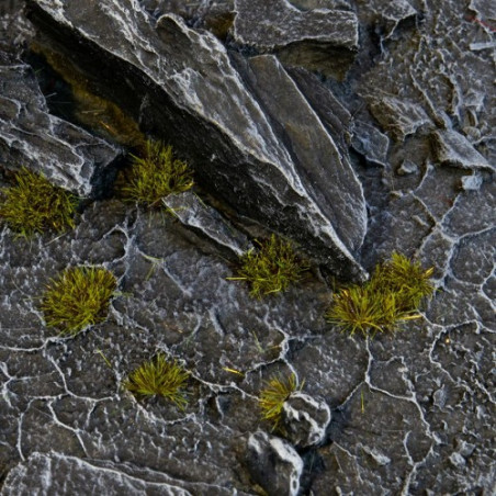 Tiny Tufts Dark Moss Tiny