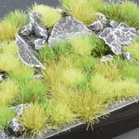 Green Meadow Set Wild