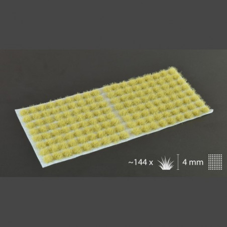 Beige 4mm Small