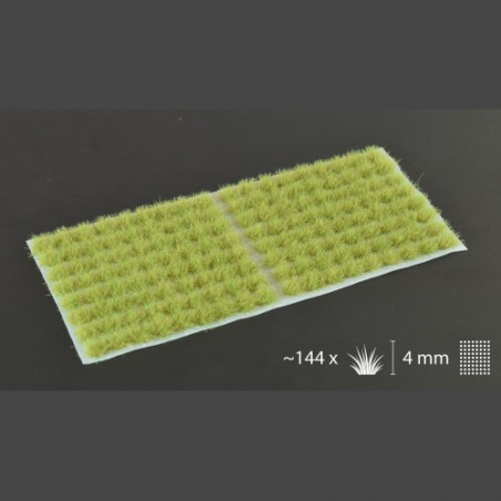 Light Green 4mm Small