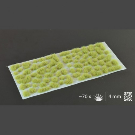 Light Green 4mm Wild
