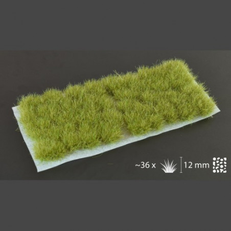 Dry Green XL 12mm Wild