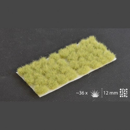 Light Green XL 12mm Wild