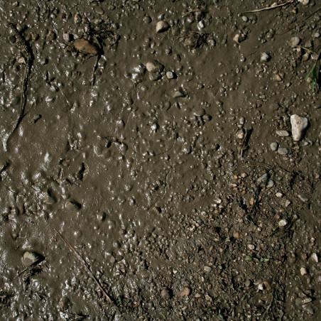 TERRAINS WET GROUND - 250ml (Acrylic) - AK