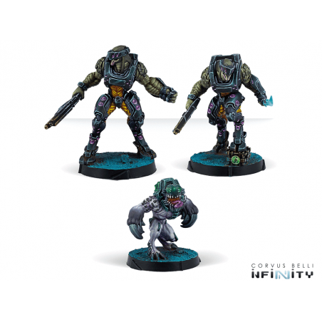 Jayth Cutthroats, Shasvastii Independent Assault Group